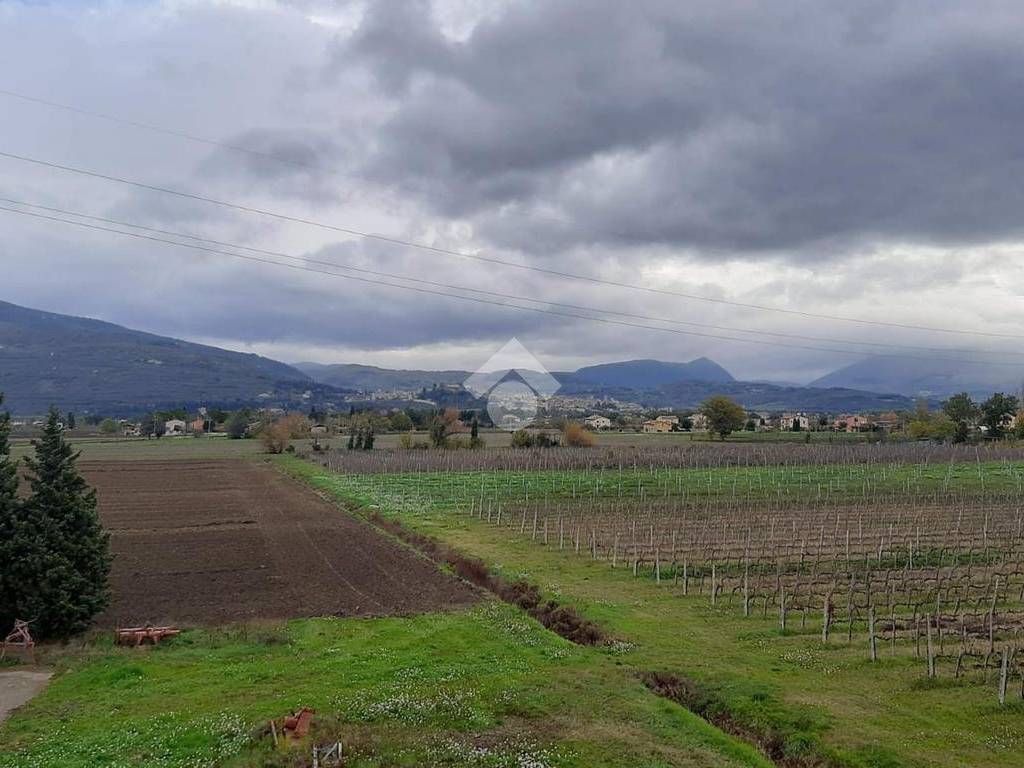 Rustico / casale a Spello in Via Limiti, 9 - Foto 2