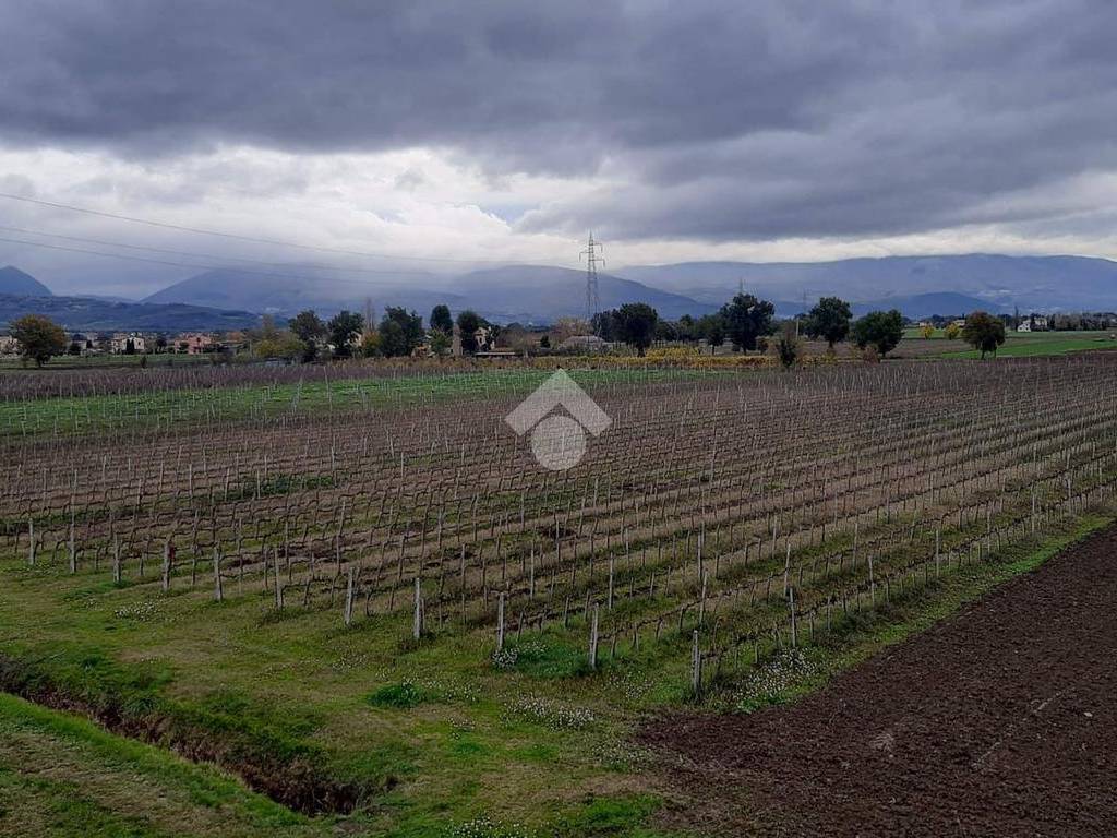 Rustico / casale a Spello in Via Limiti, 9 - Foto 5
