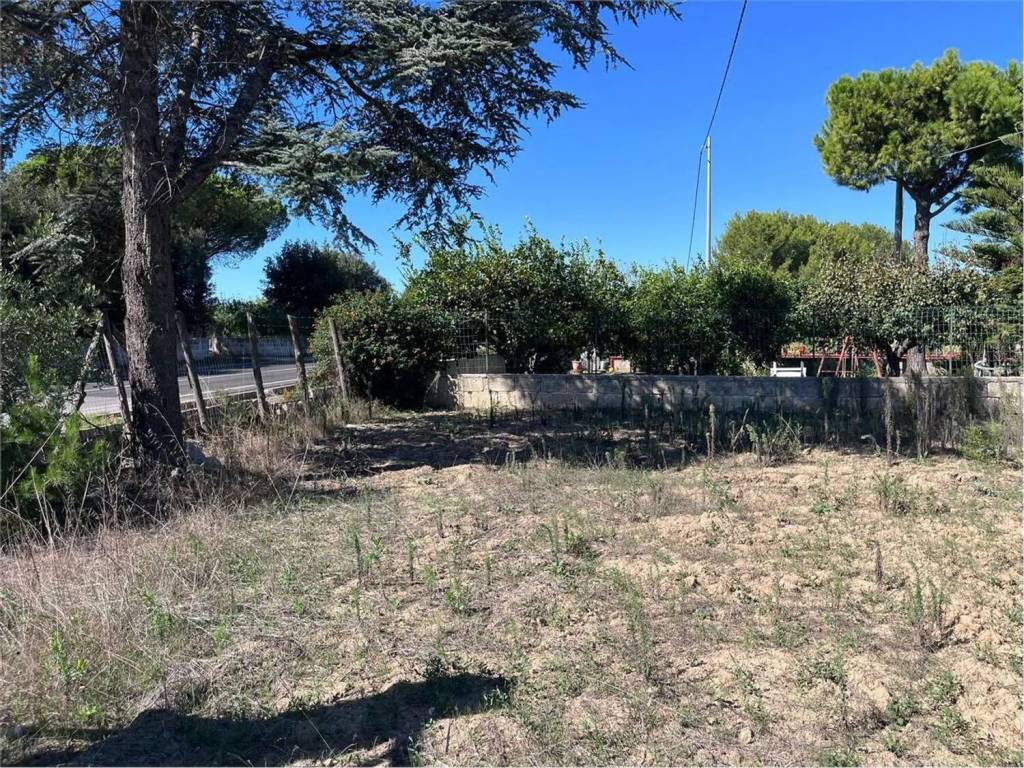 Terreno a Francavilla fontana in Strada Provinciale 55 S.N.C. - Foto 3