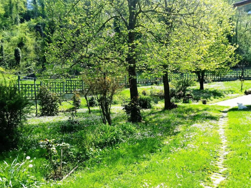 Casa indipendente a Castel castagna in SP37c - Foto 4