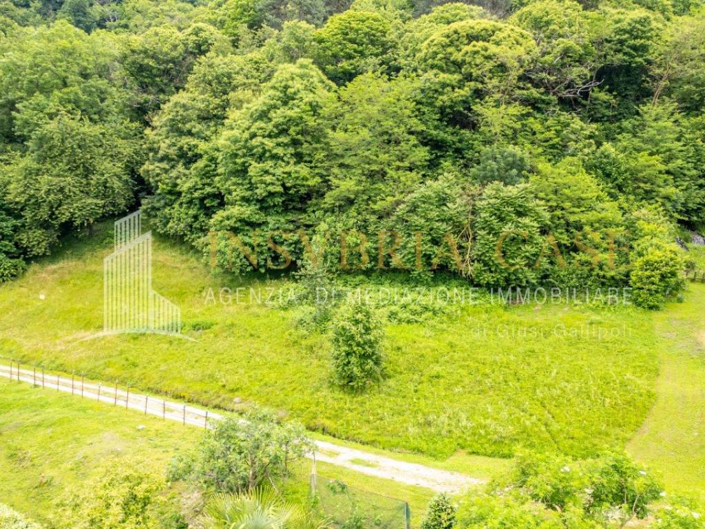Terreno a Montegrino valtravaglia - Foto 2