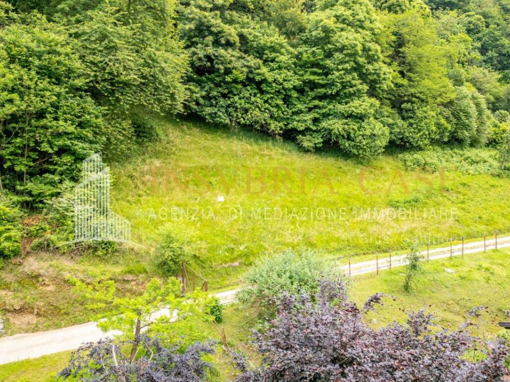 Terreno a Montegrino valtravaglia - Foto 3