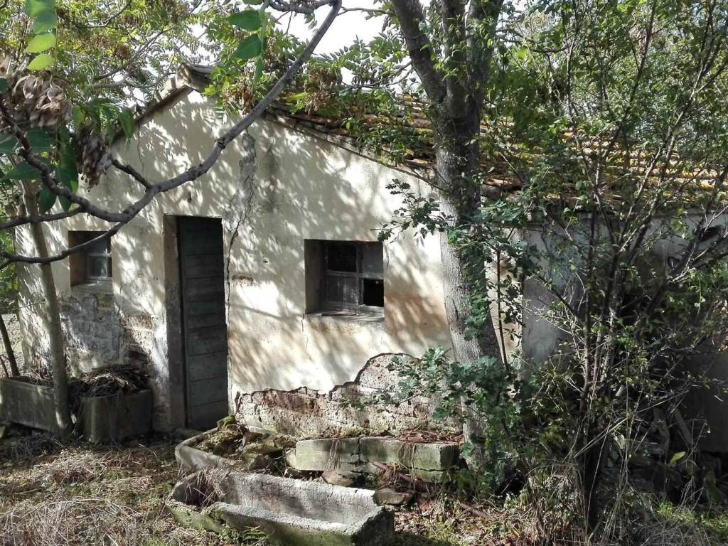 Rustico / casale a Pollenza - Foto 4