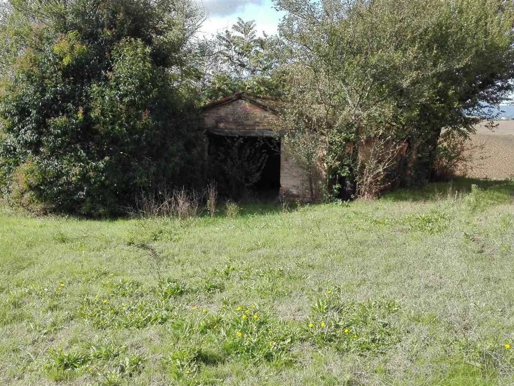 Rustico / casale a Pollenza - Foto 5
