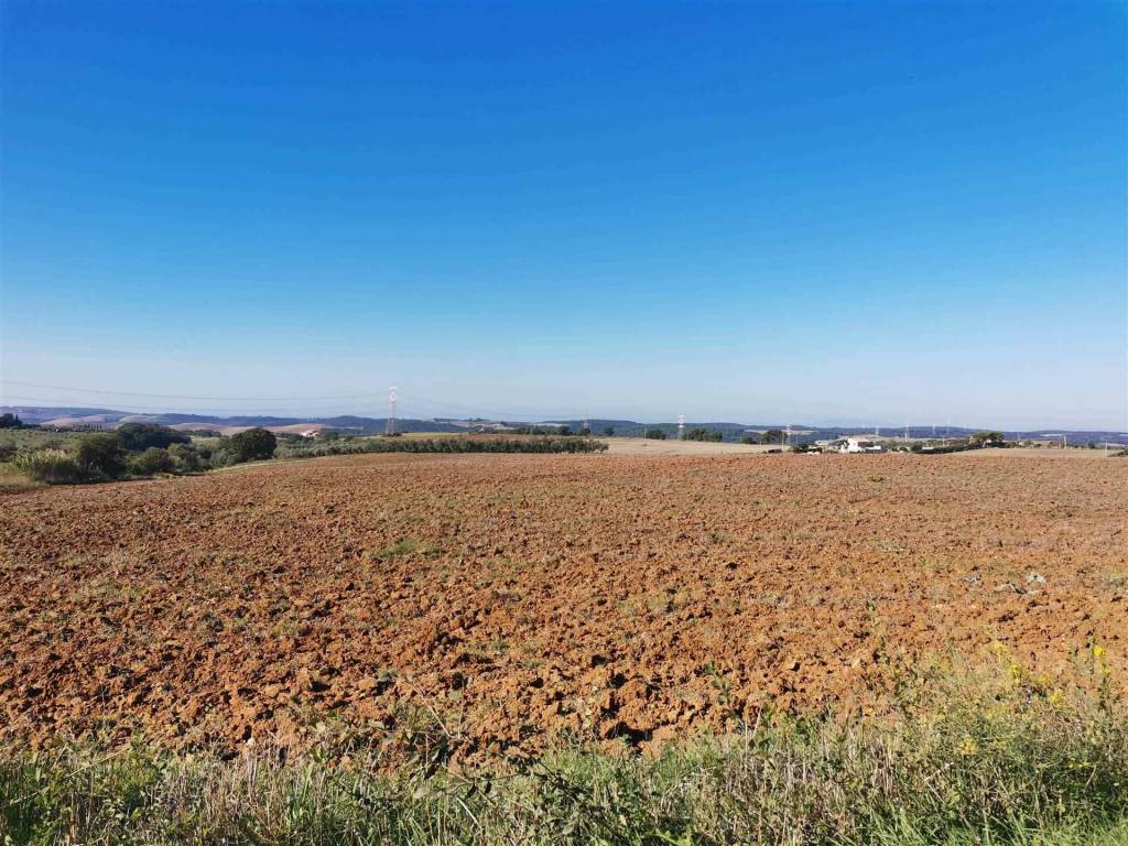 Rustico / casale a Tuscania - Foto 2