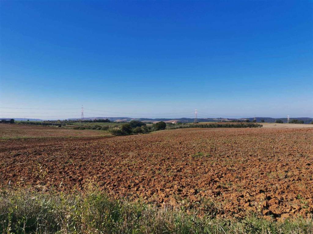 Rustico / casale a Tuscania - Foto 3