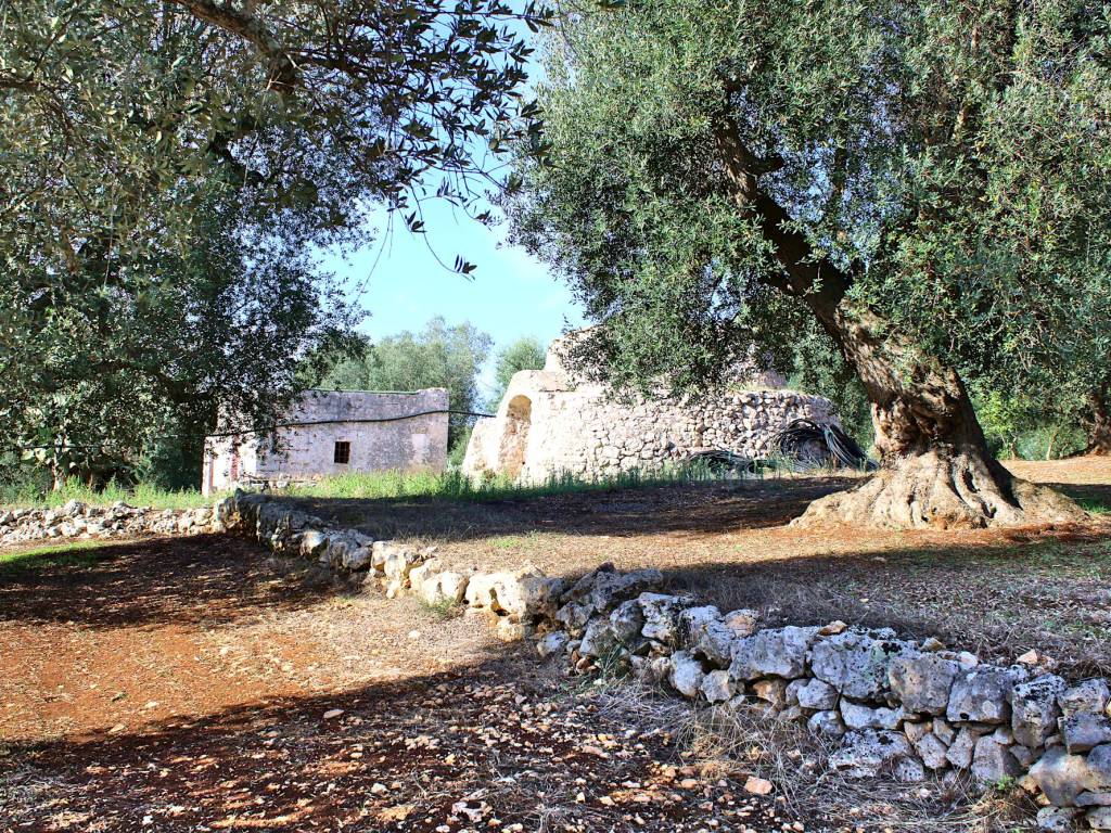 Rustico / casale a Ostuni in Contrada Vato Aperto - Foto 2