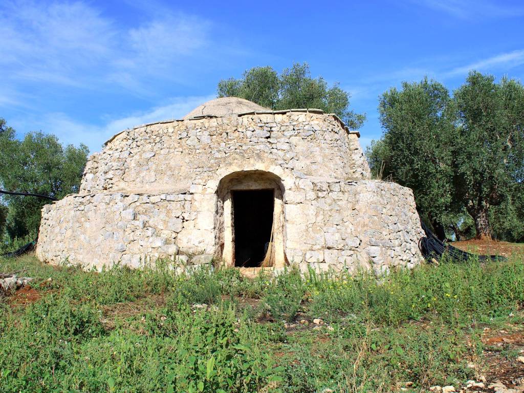 Rustico / casale a Ostuni in Contrada Vato Aperto - Foto 3