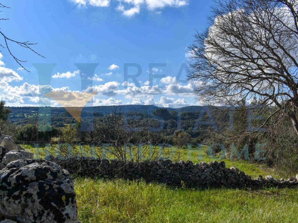 Rustico / casale a Noto in Via Tommaso Fazello, 228 - Foto 4