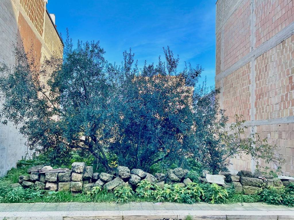 Terreno a Acquaviva delle fonti in Acquaviva delle Fonti - Foto 3