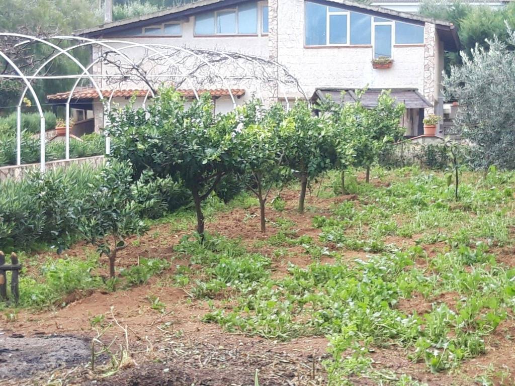 Villa a Trappeto in Badiella - Foto 4
