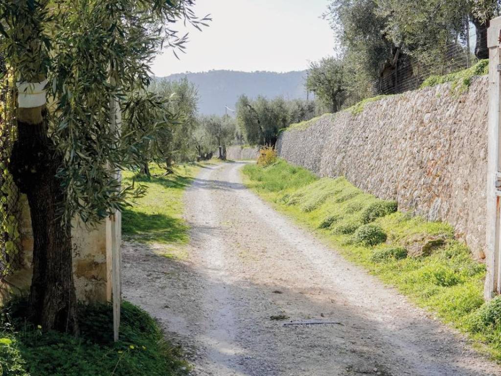 Rustico / casale a Mattinata in località aspromonte - Foto 3