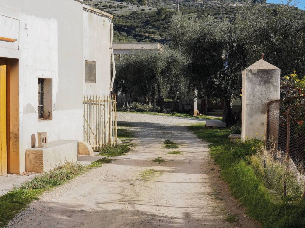 Rustico / casale a Mattinata in località aspromonte - Foto 5