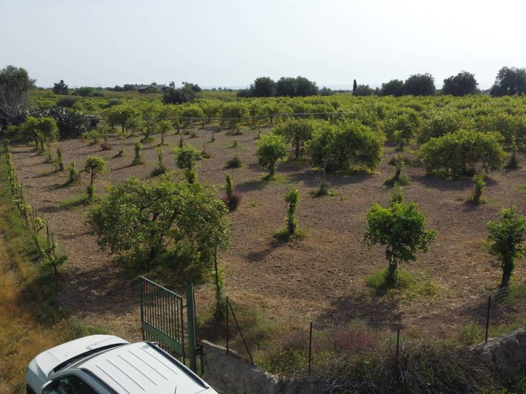 Terreno a Avola in Ex Contrada Petrara - Foto 5