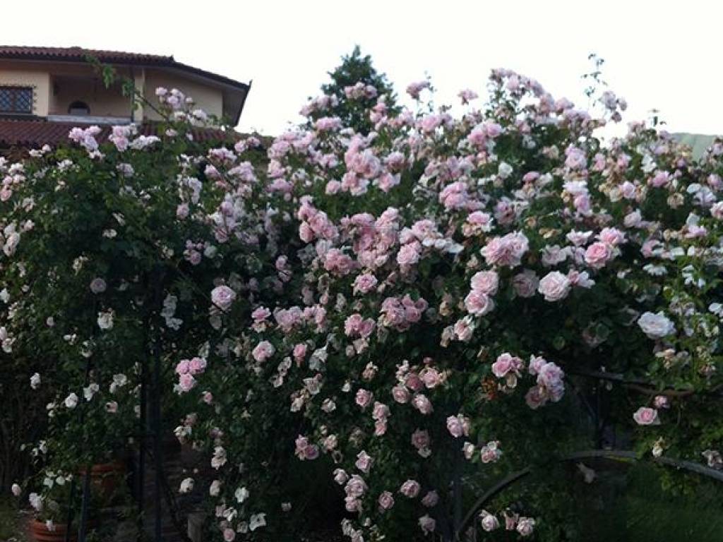 Villa a Piazza al serchio in Via della Piazza, 5 - Foto 3