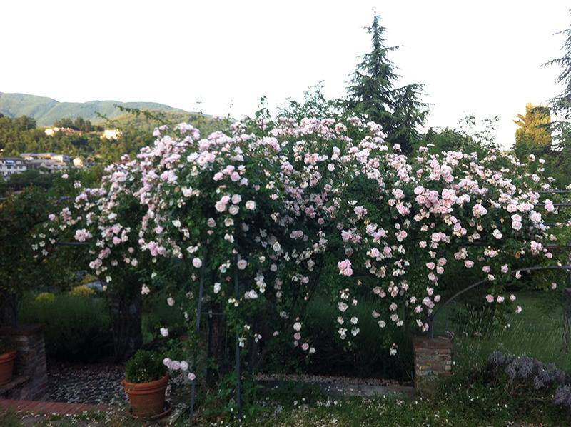 Villa a Piazza al serchio in Via della Piazza, 5 - Foto 4