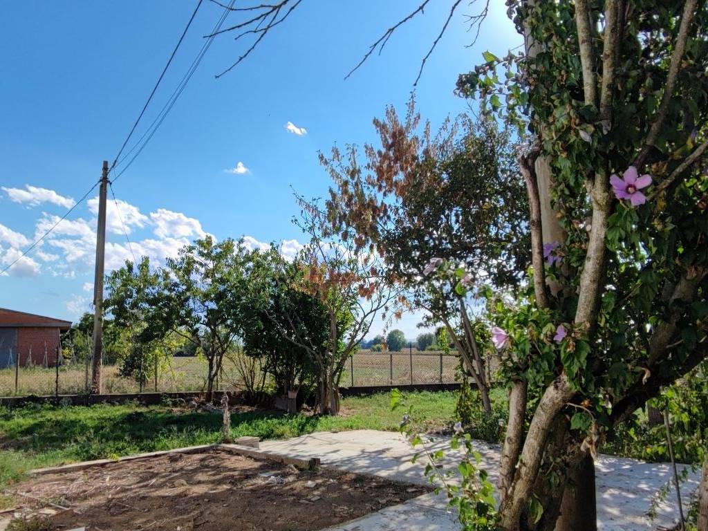 Rustico / casale a Alessandria in Via Casale, 88 - Foto 4