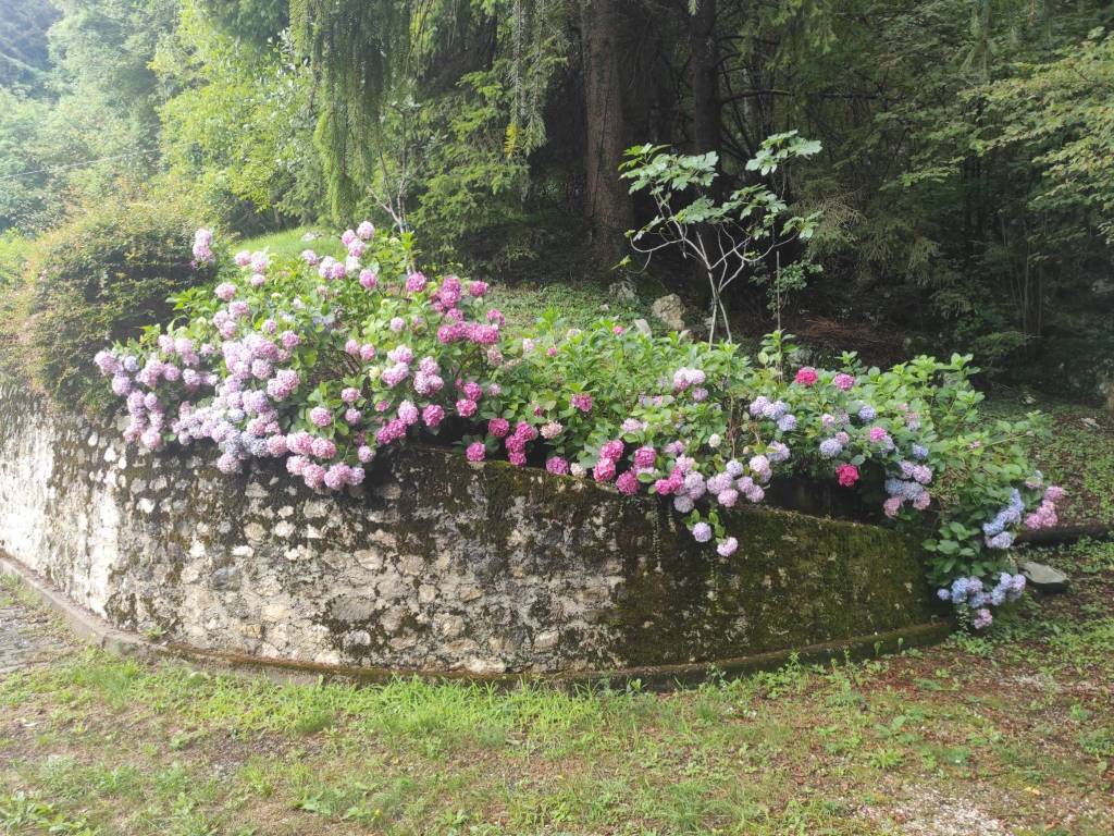 Rustico / casale a Caneva - Foto 5
