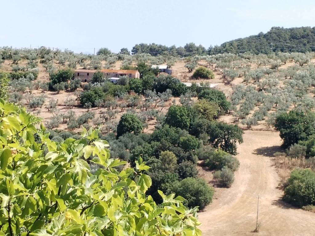 Casa indipendente a Torgiano - Foto 4