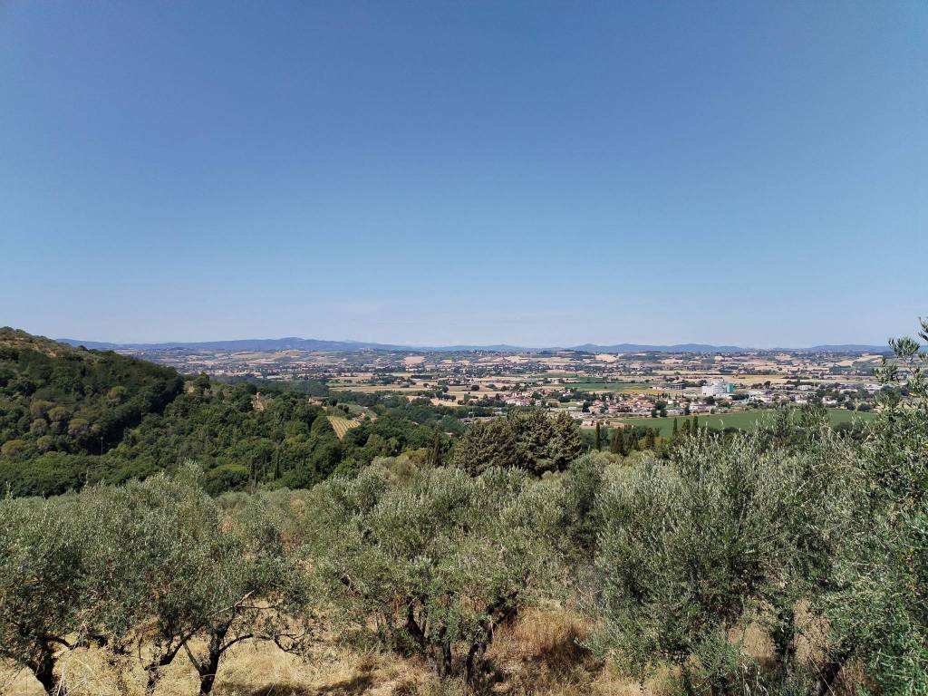 Casa indipendente a Torgiano - Foto 5