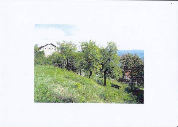 Rustico / casale a Pieve santo stefano in Strada La Verna - Foto 4