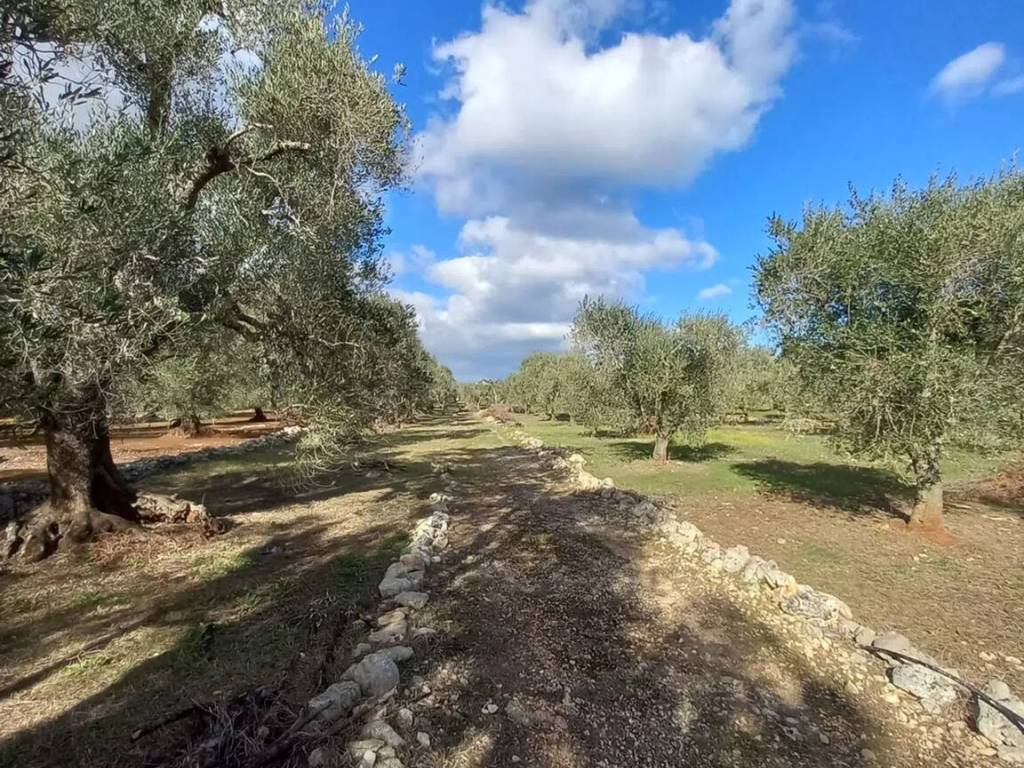 Rustico / casale a Ostuni in Via Francavilla Fontana Sp28 S.N.C. - Foto 2