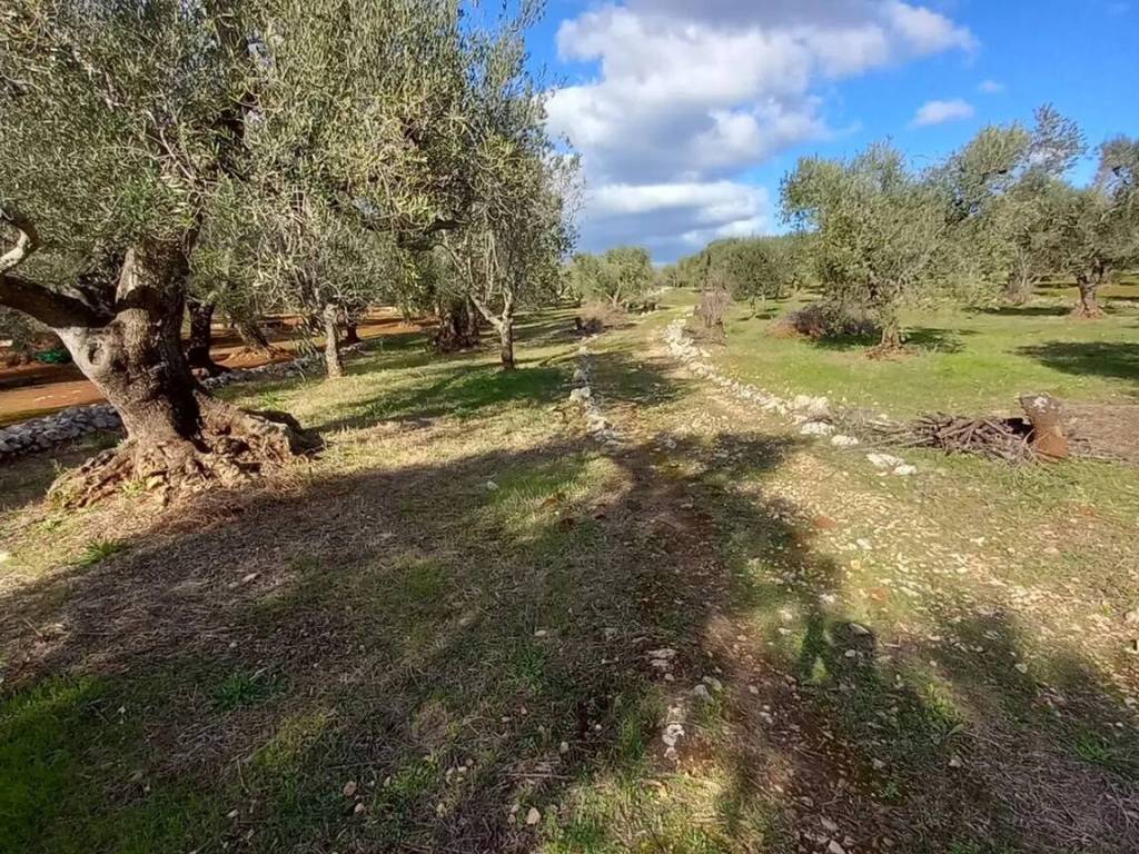 Rustico / casale a Ostuni in Via Francavilla Fontana Sp28 S.N.C. - Foto 3
