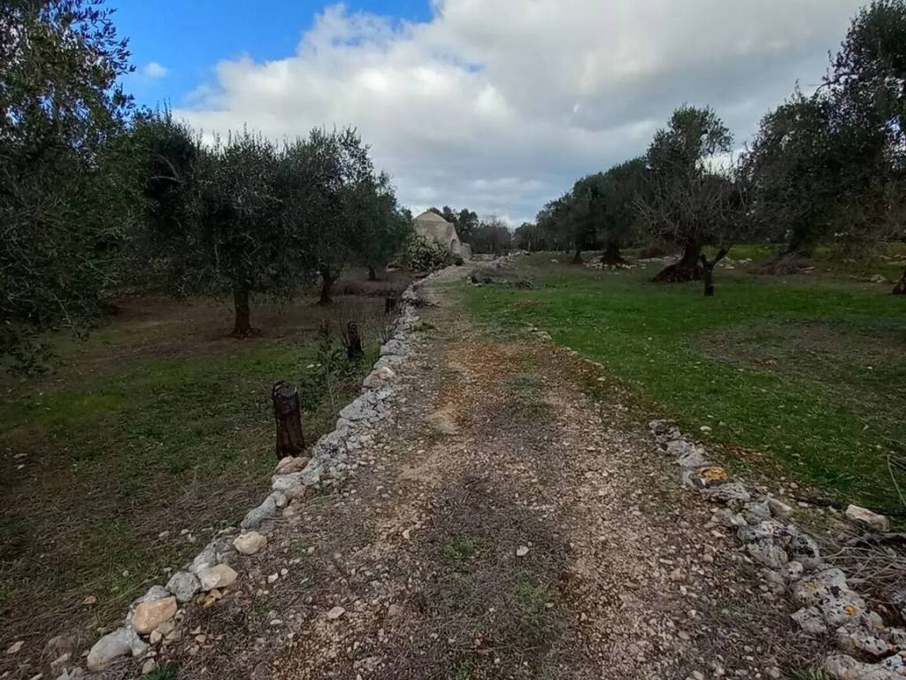 Rustico / casale a Ostuni in Via Francavilla Fontana Sp28 S.N.C. - Foto 4