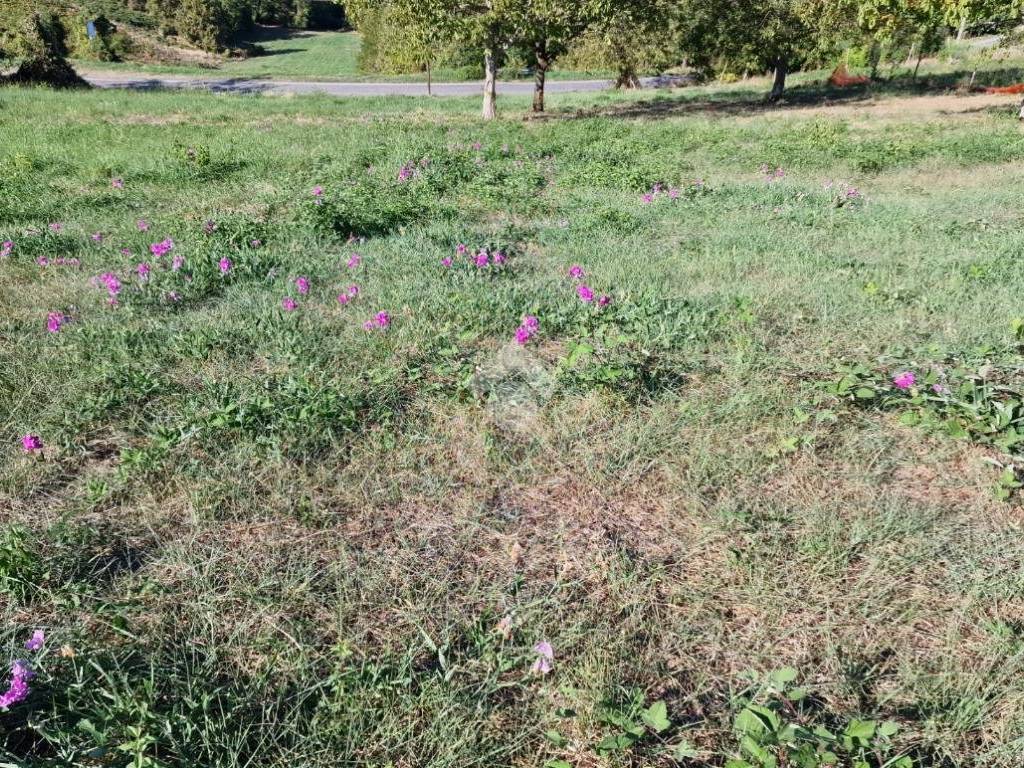 Terreno a Montù beccaria in Via dei Cavalieri di Vittorio Veneto - Foto 3