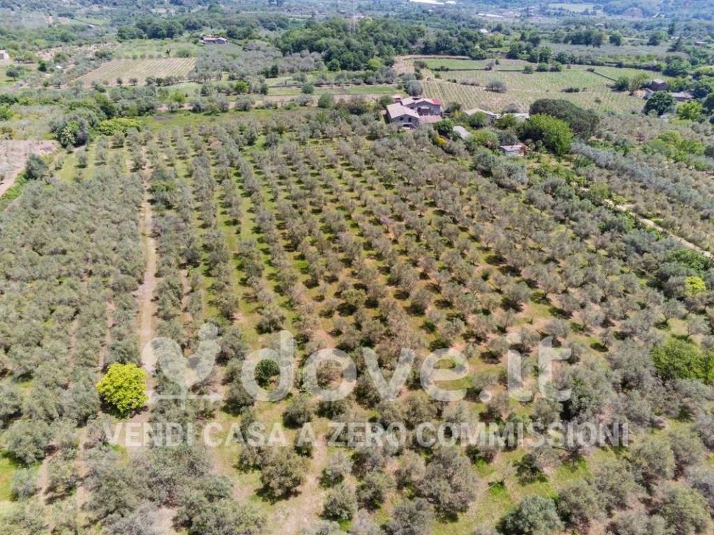 Rustico / casale a Castiglione di sicilia in Contrada Ponte Gaeto - Foto 2
