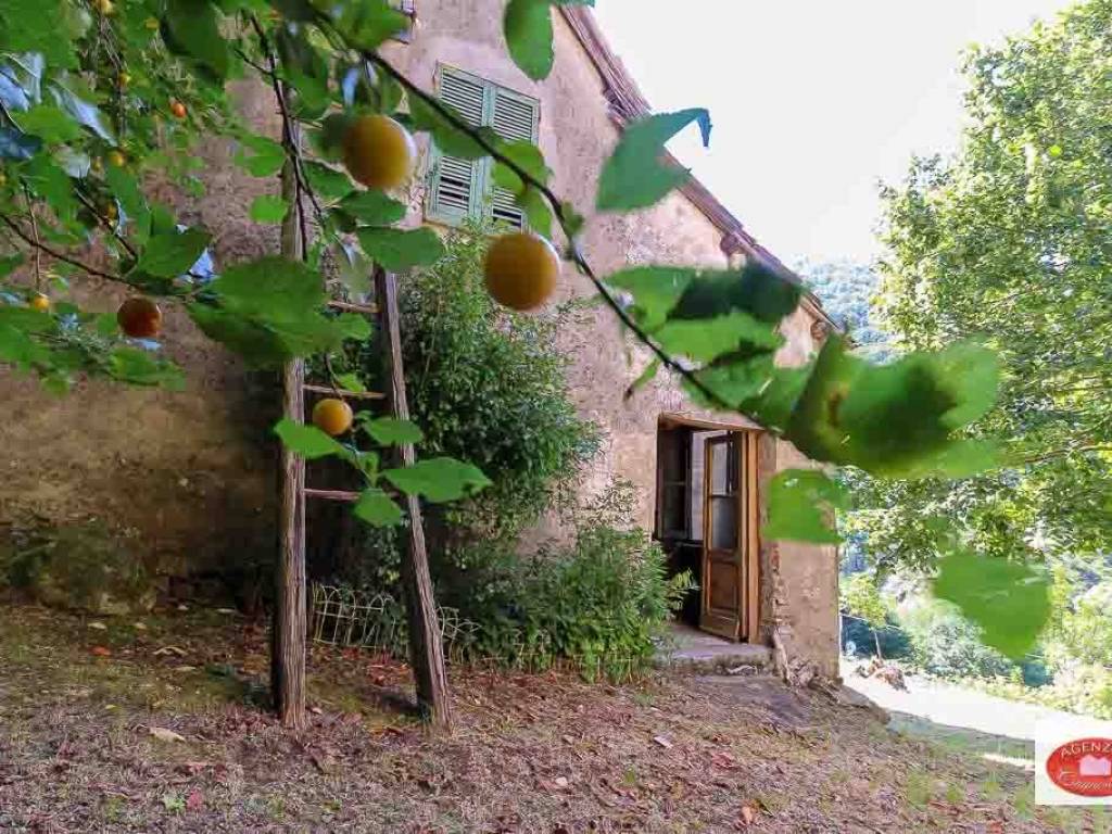 Rustico / casale a Pontinvrea in Via Cavalier Davide Vignolo, 38 - Foto 4