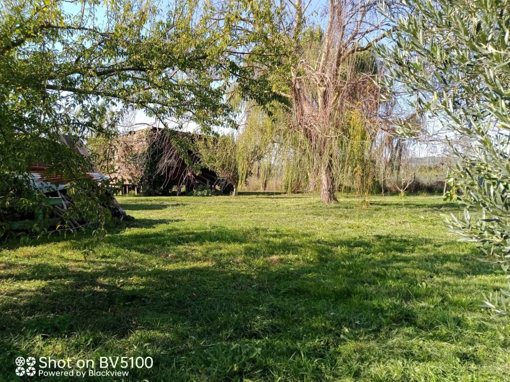 Terreno a Castiglione della pescaia in Strada dell'Agnone - Foto 2