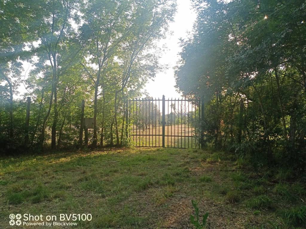 Terreno a Castiglione della pescaia in Strada dell'Agnone - Foto 4