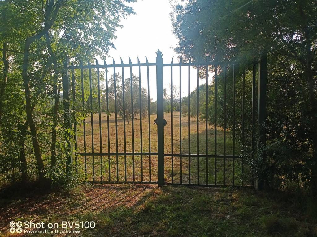 Terreno a Castiglione della pescaia in Strada dell'Agnone - Foto 5