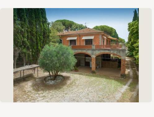 Rustico / casale a Campiglia marittima in Via Montioncello - Foto 3