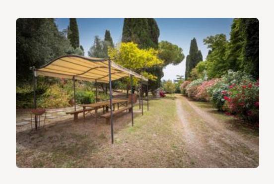 Rustico / casale a Campiglia marittima in Via Montioncello - Foto 4