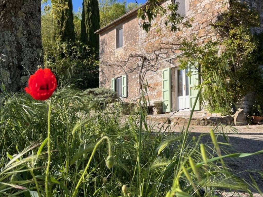 Rustico / casale a Semproniano - Foto 3