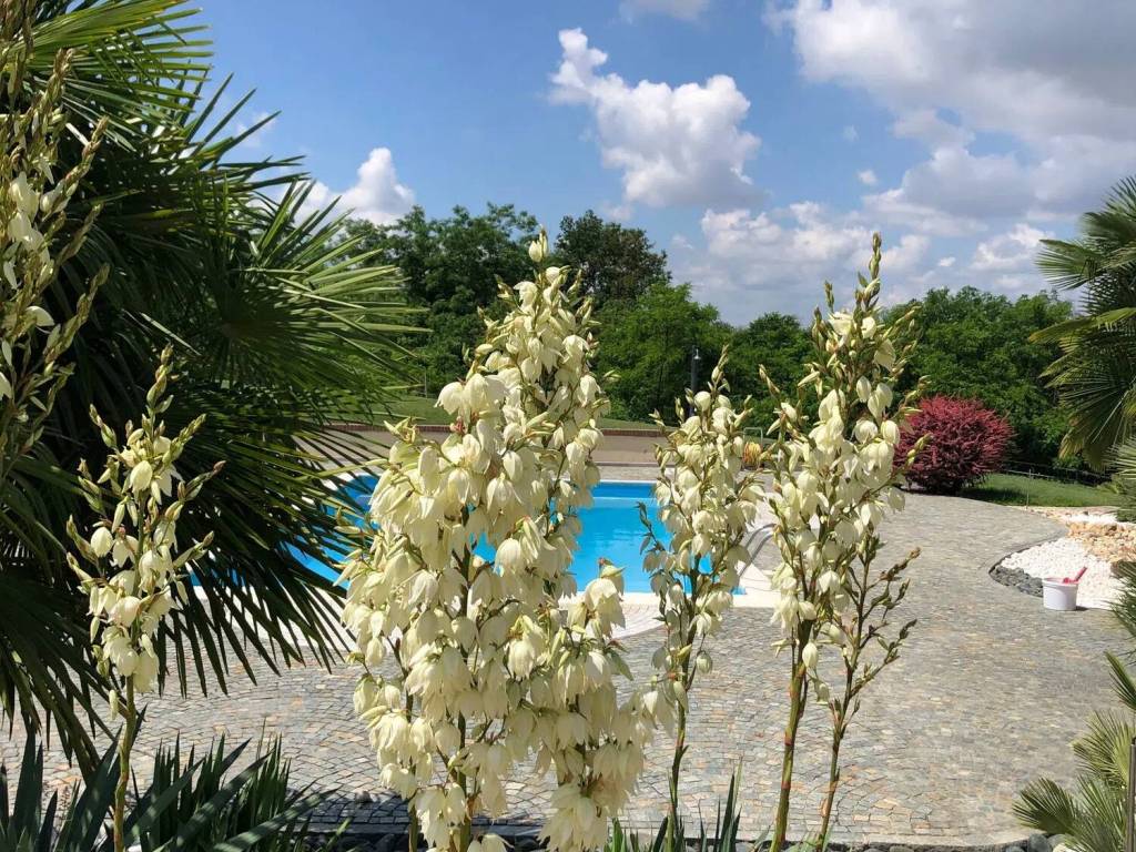 Villa a Castello di annone in Strada Vicinale San Martino Marrone, 1 - Foto 5