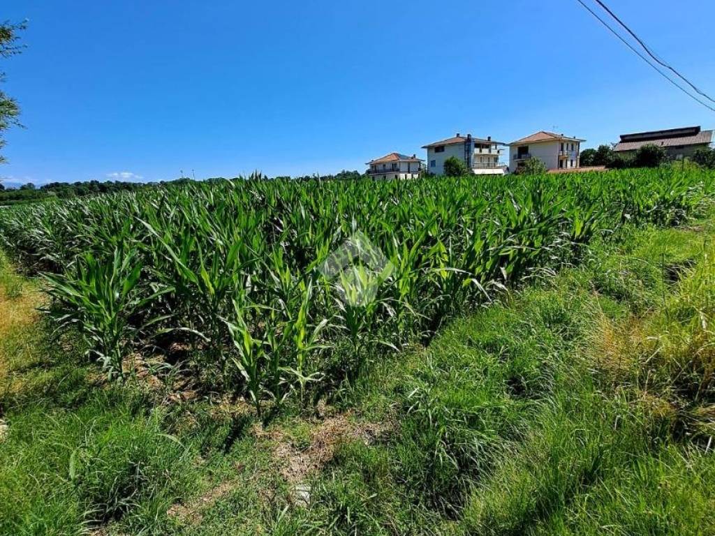 Terreno a Ciriè in Via viola - Foto 2