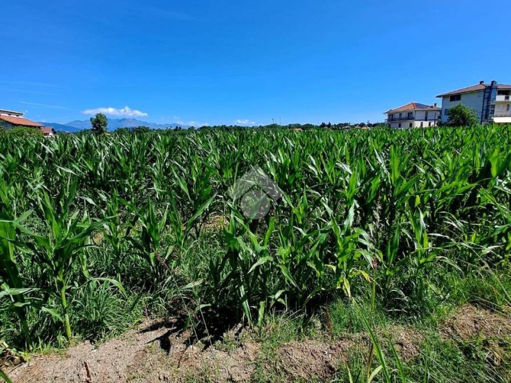 Terreno a Ciriè in Via viola - Foto 3