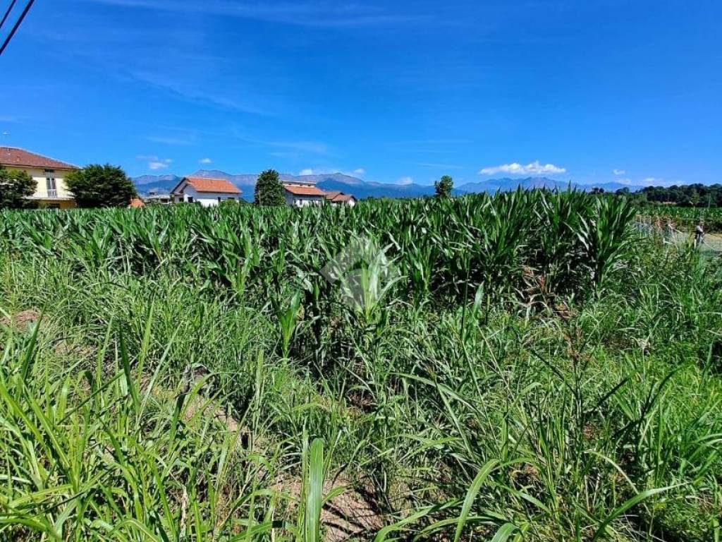 Terreno a Ciriè in Via viola - Foto 4