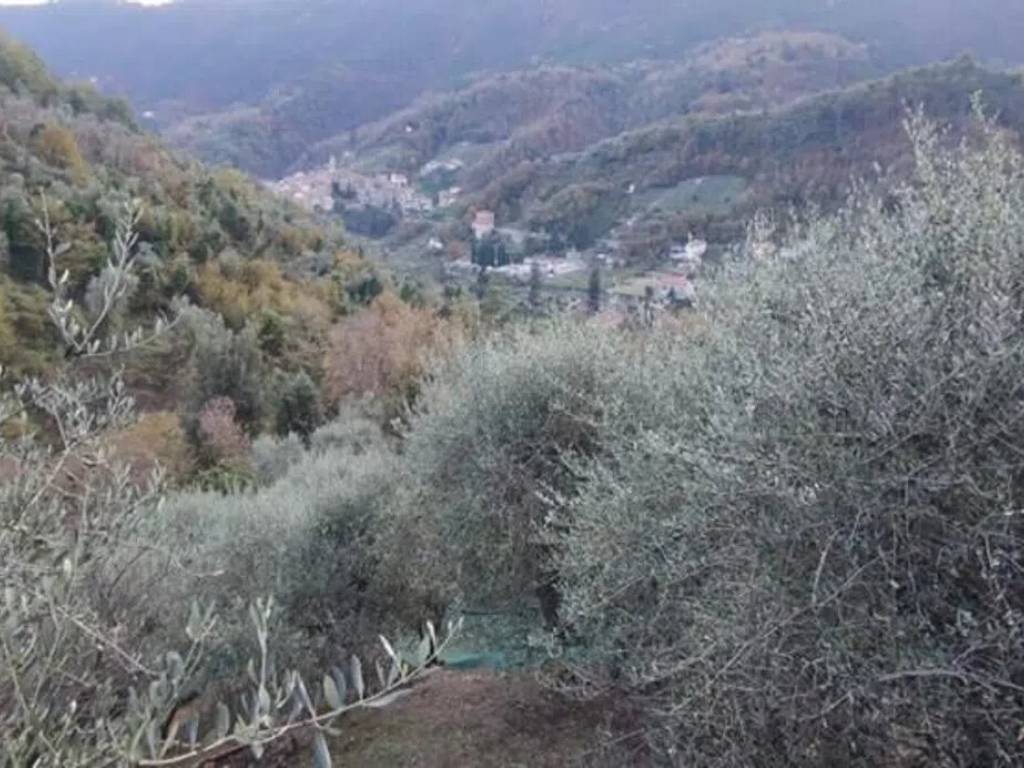 Terreno a Ceriana in Strada Cianche, 12 - Foto 4