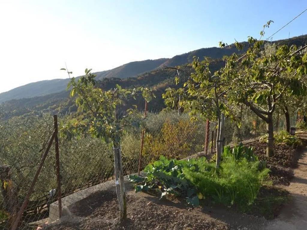 Rustico / casale a Ceriana - Foto 5