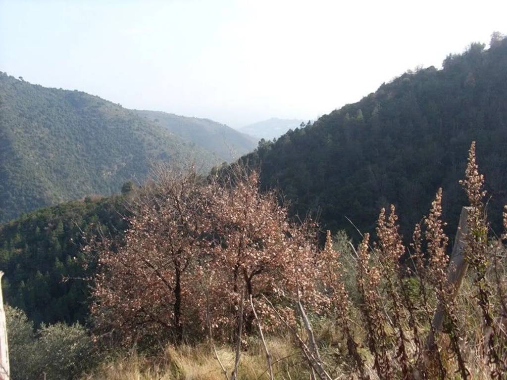 Rustico / casale a Ceriana in Strada Provinciale Sud S.N.C. - Foto 2