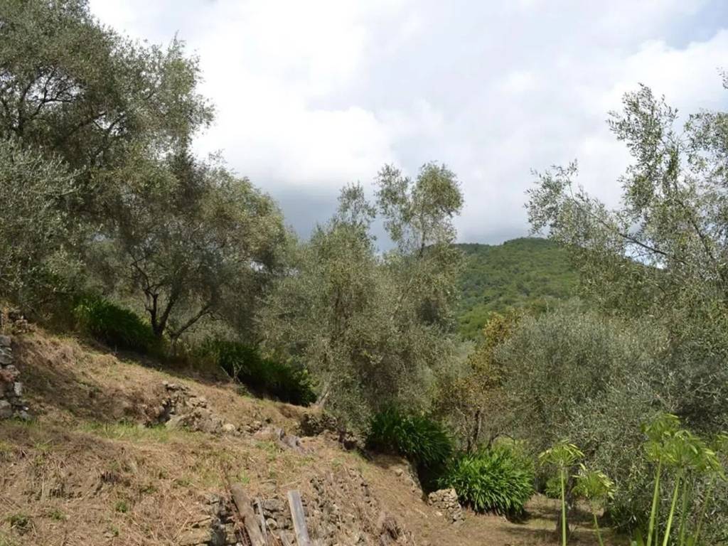 Rustico / casale a Ceriana in Strada Belando S.N.C. - Foto 2