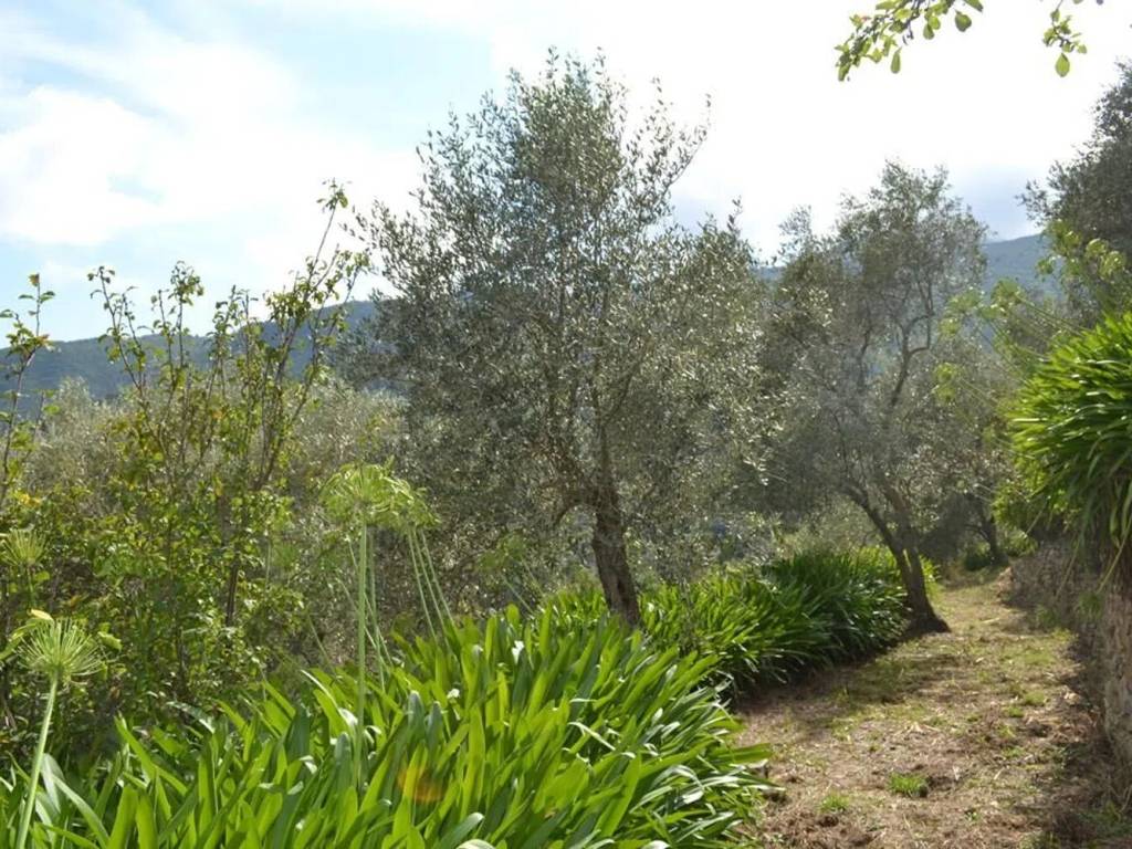 Rustico / casale a Ceriana in Strada Belando S.N.C. - Foto 3