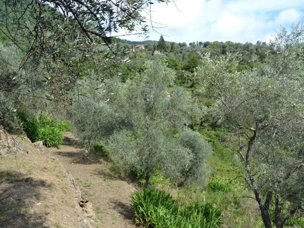 Rustico / casale a Ceriana in Strada Belando S.N.C. - Foto 4