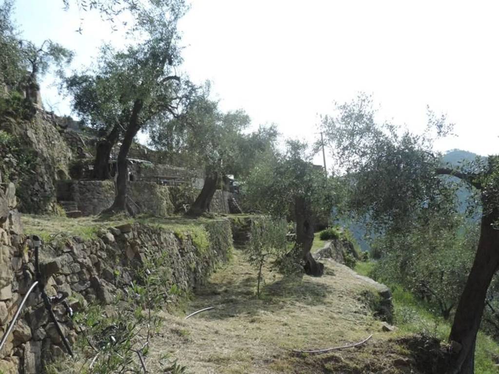 Rustico / casale a Ceriana in Strada Provinciale Sud S.N.C. - Foto 2