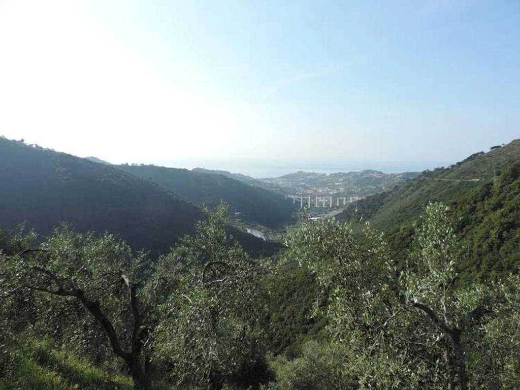 Rustico / casale a Ceriana in Strada Provinciale Sud S.N.C. - Foto 3