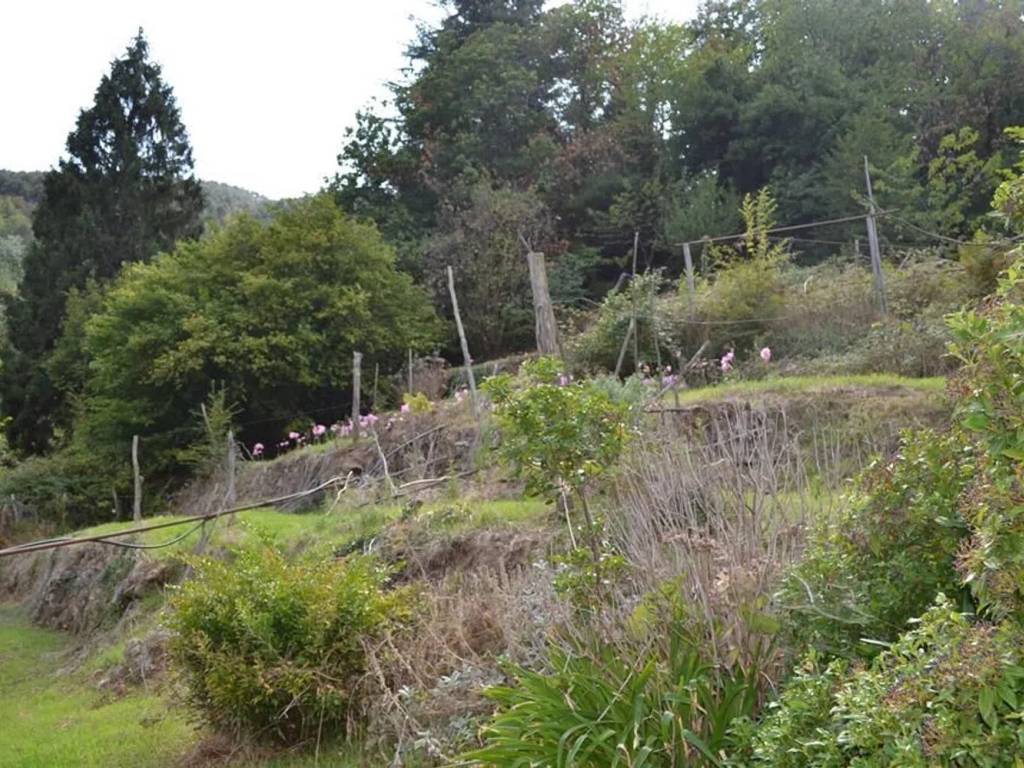 Rustico / casale a Ceriana in Strada Mainardo - Foto 3